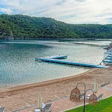 Meri Cedit